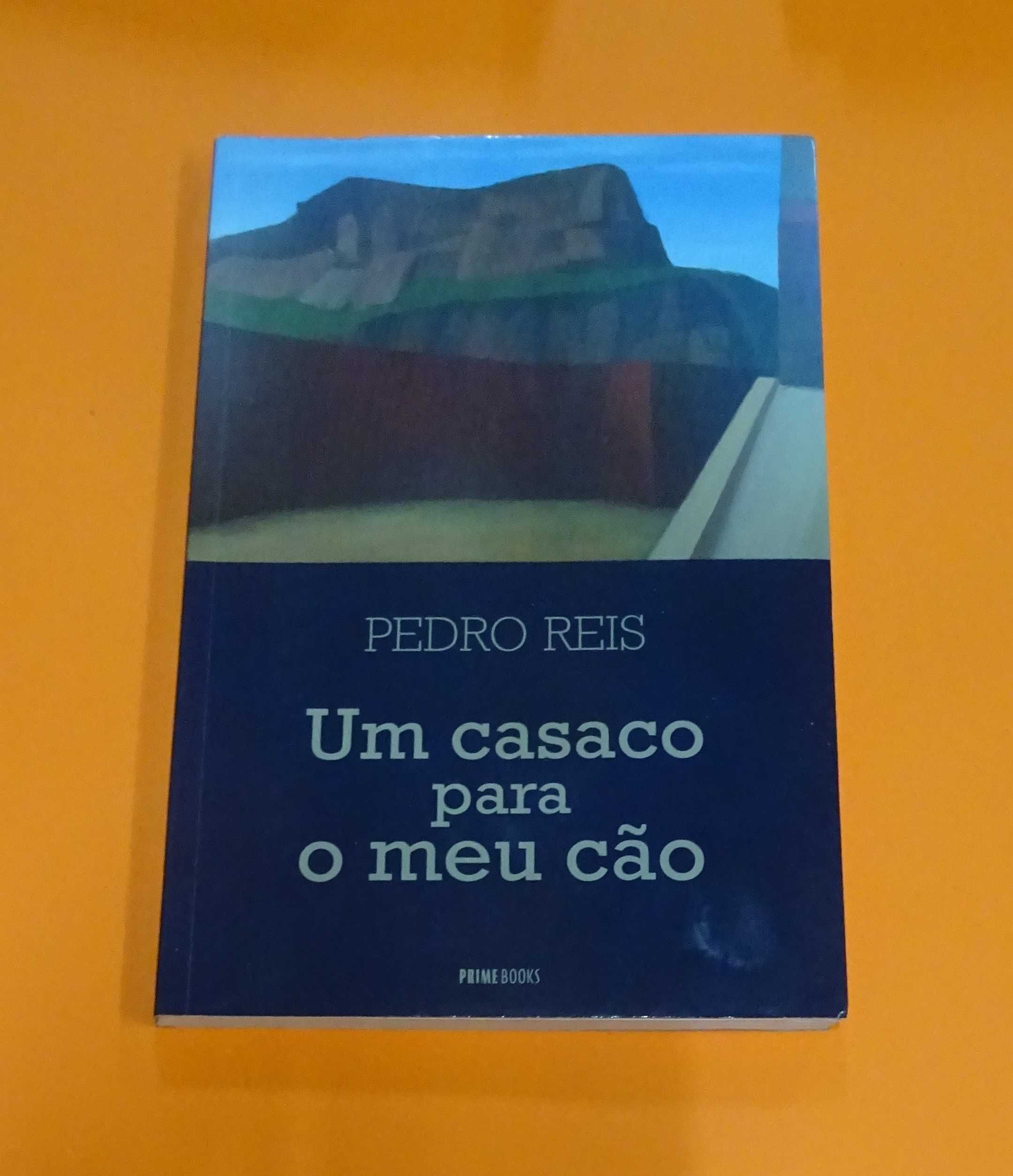 Um casaco para o meu cão - Pedro Reis