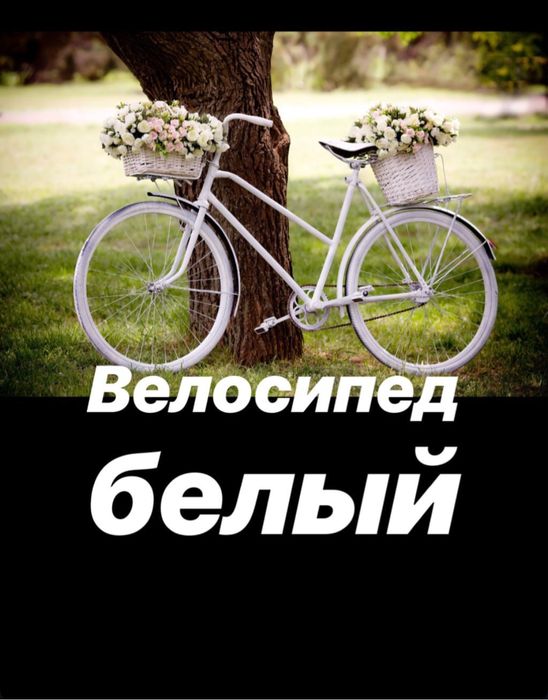 Велосипед    белый без рамы