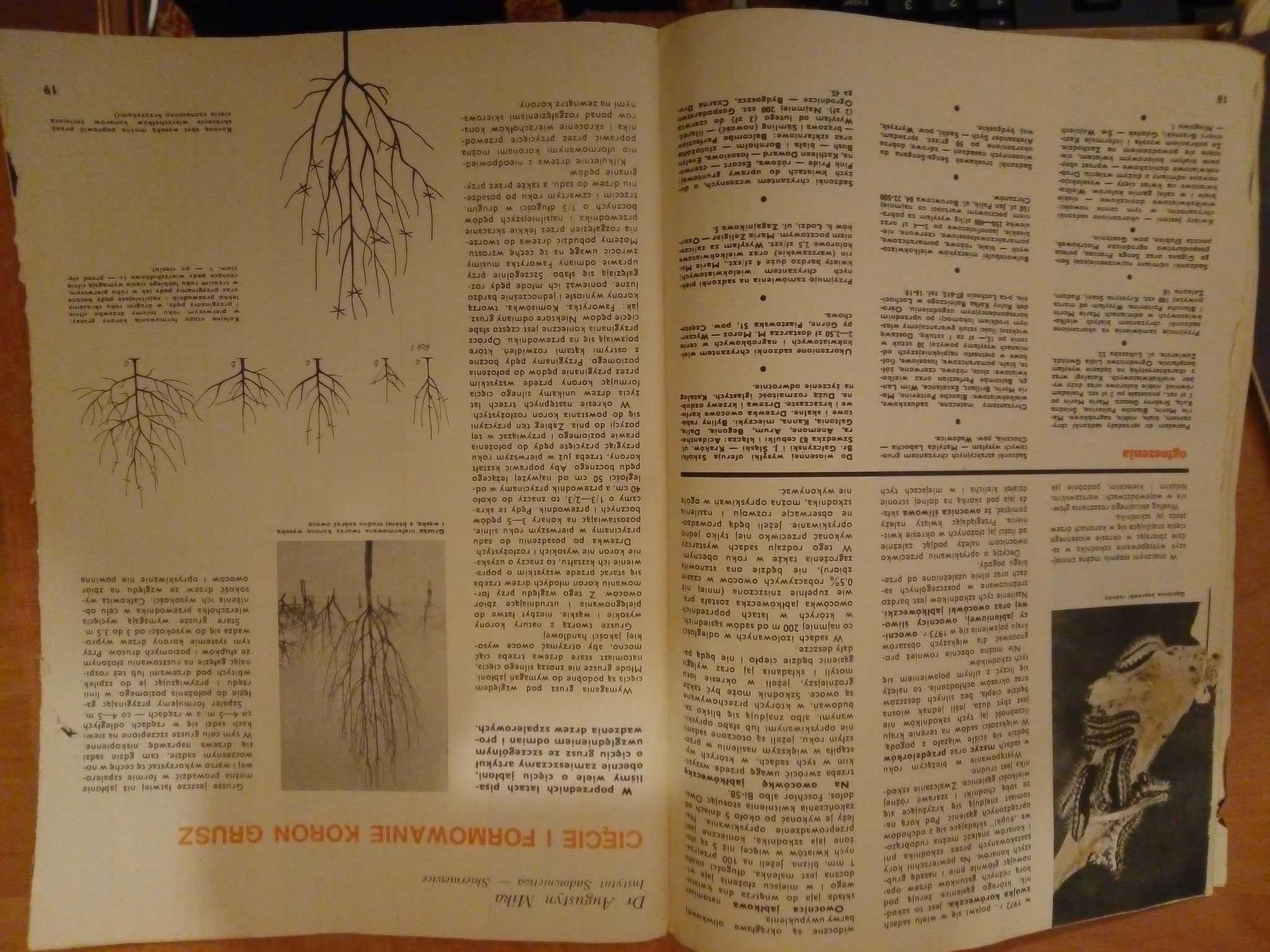 Owoce warzywa kwiaty dwutygodnik 7 1973 ogrodniczy gazeta czasopismo