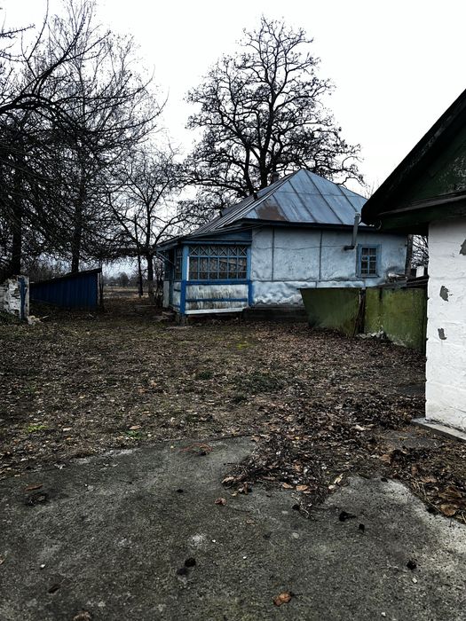 Продам будинок Велика Стариця