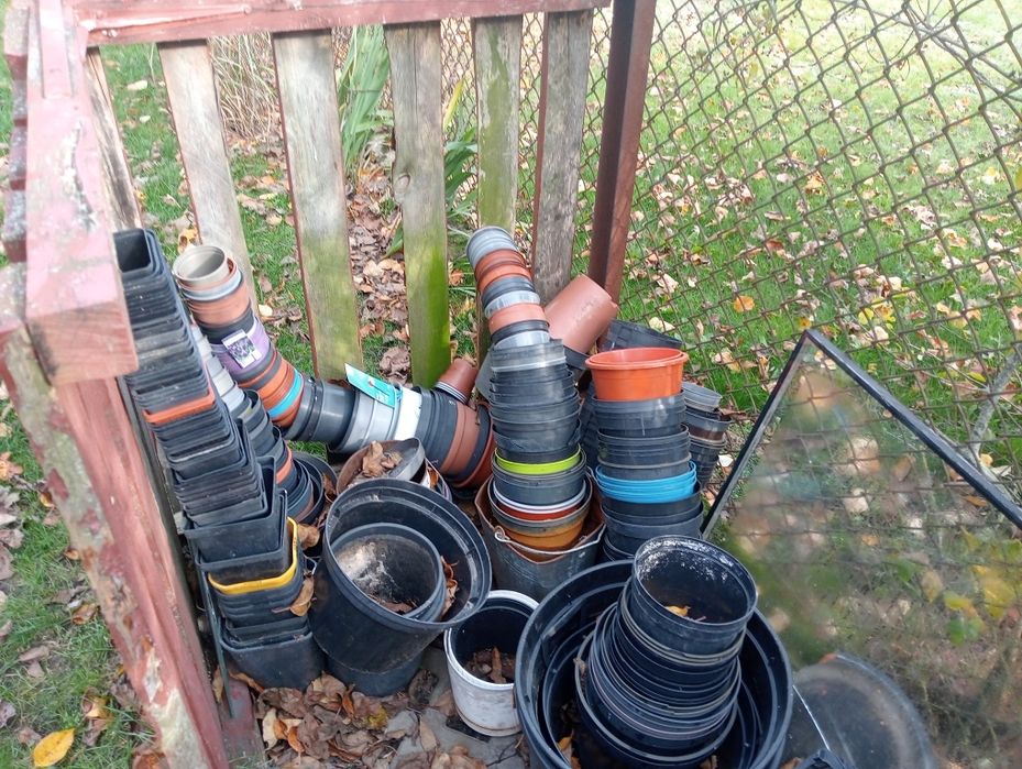 Oddam za darmo doniczki