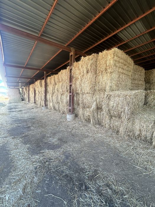 Fardos de feno e palha