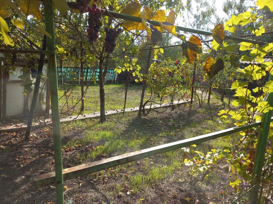 Продам дачу в садовом кооперативе "Мукомол" рядом пгт Малокатериновка