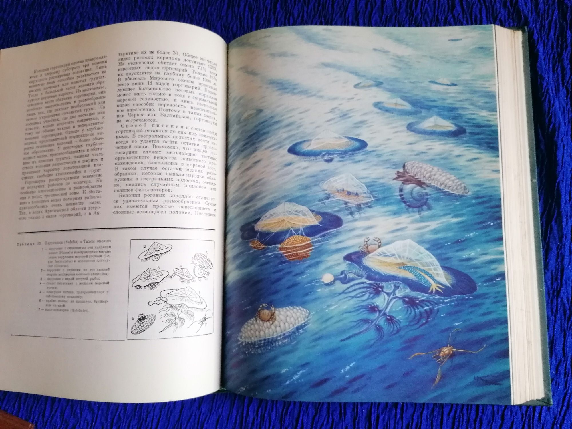 Продам книги  "Мой путь к животным", " Жизнь животных, беспозвоночные.