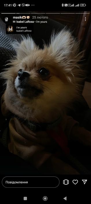 Курточка для собаки "Шпіц". Розм. 2. Демісезонна. Якісна. Тепла