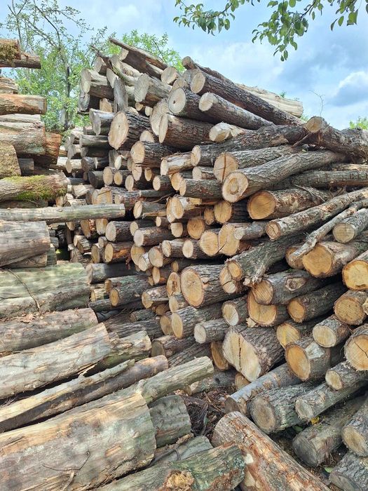 Drewno Opałowe Kominkowe Transport