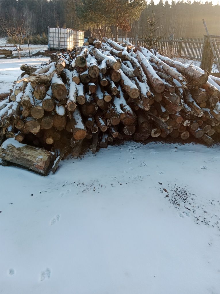 Drewno opałowe i kominkowe