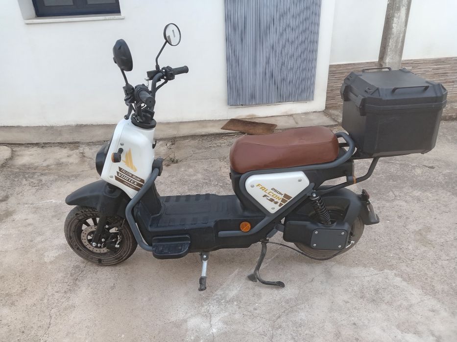 Mota elétrica goose falcon f24