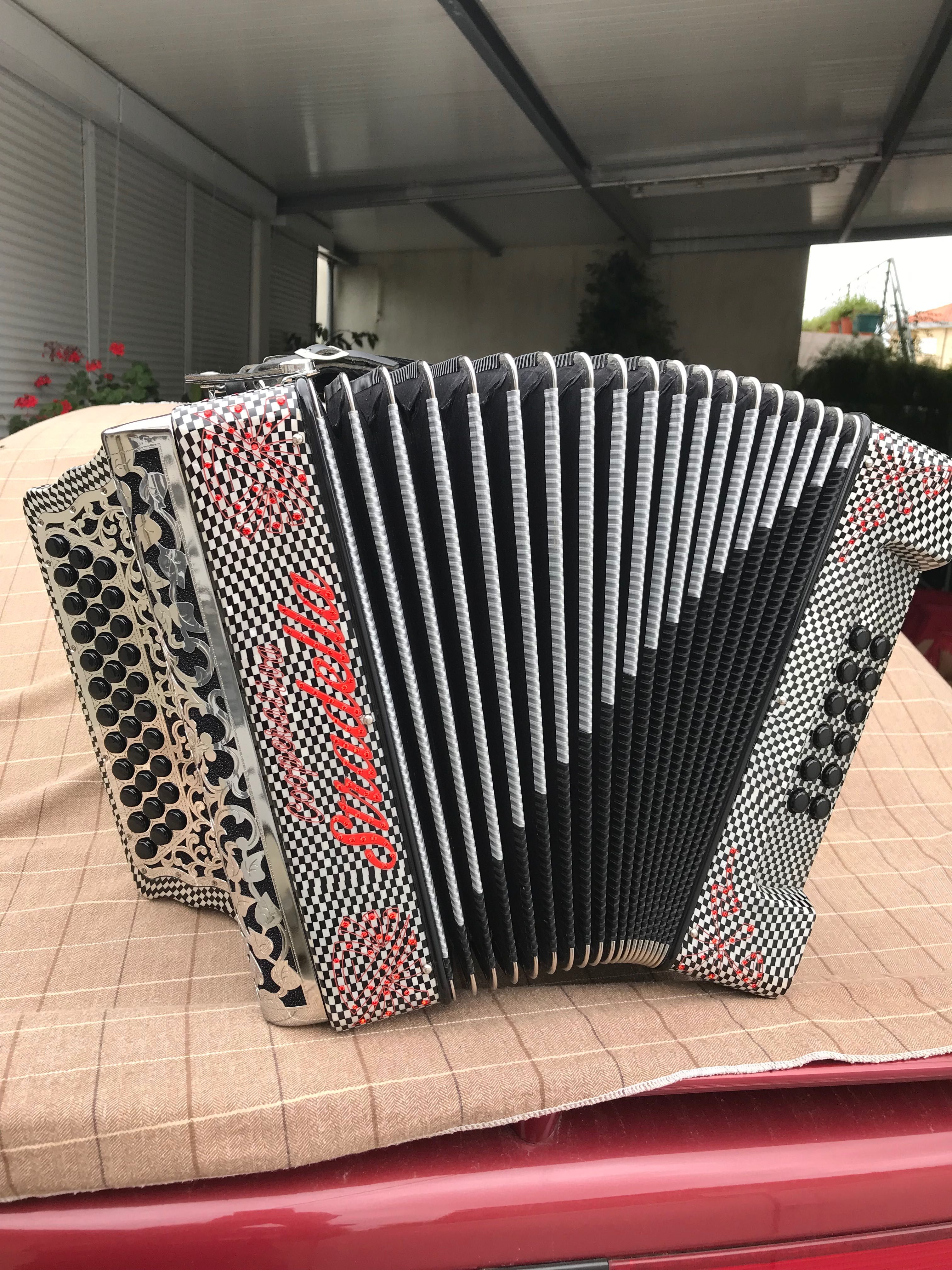 Vendo concertina semi nova da mesma fábrica da pedrosini