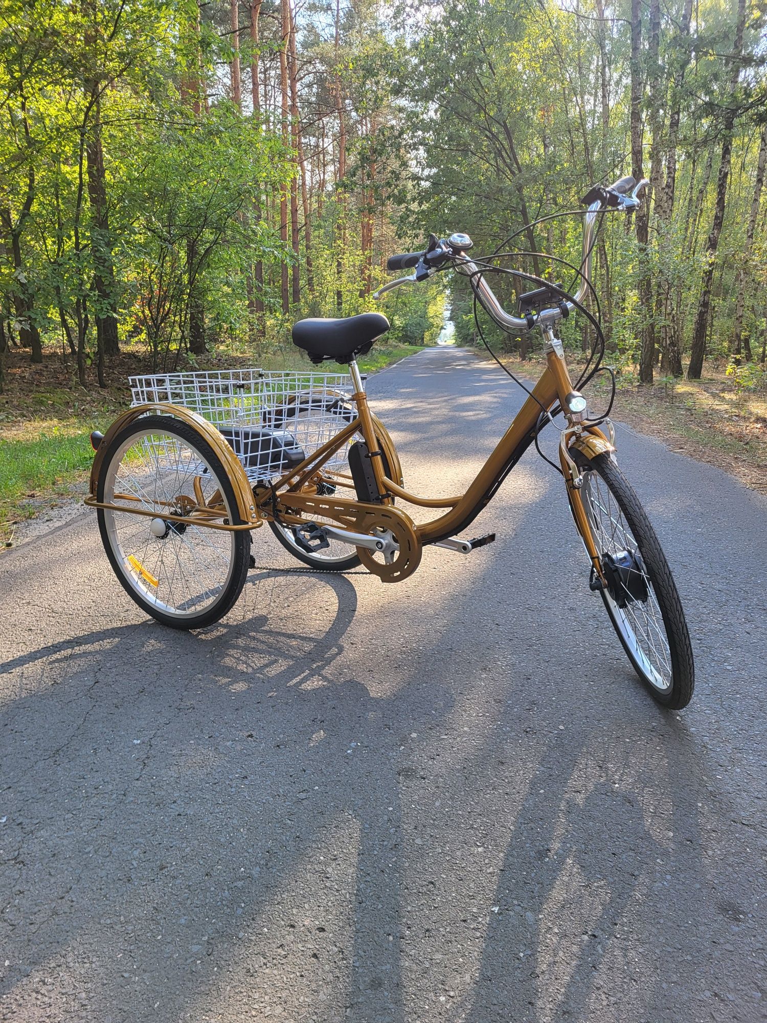 Nowy Elektryczny Rower Trójkołowy