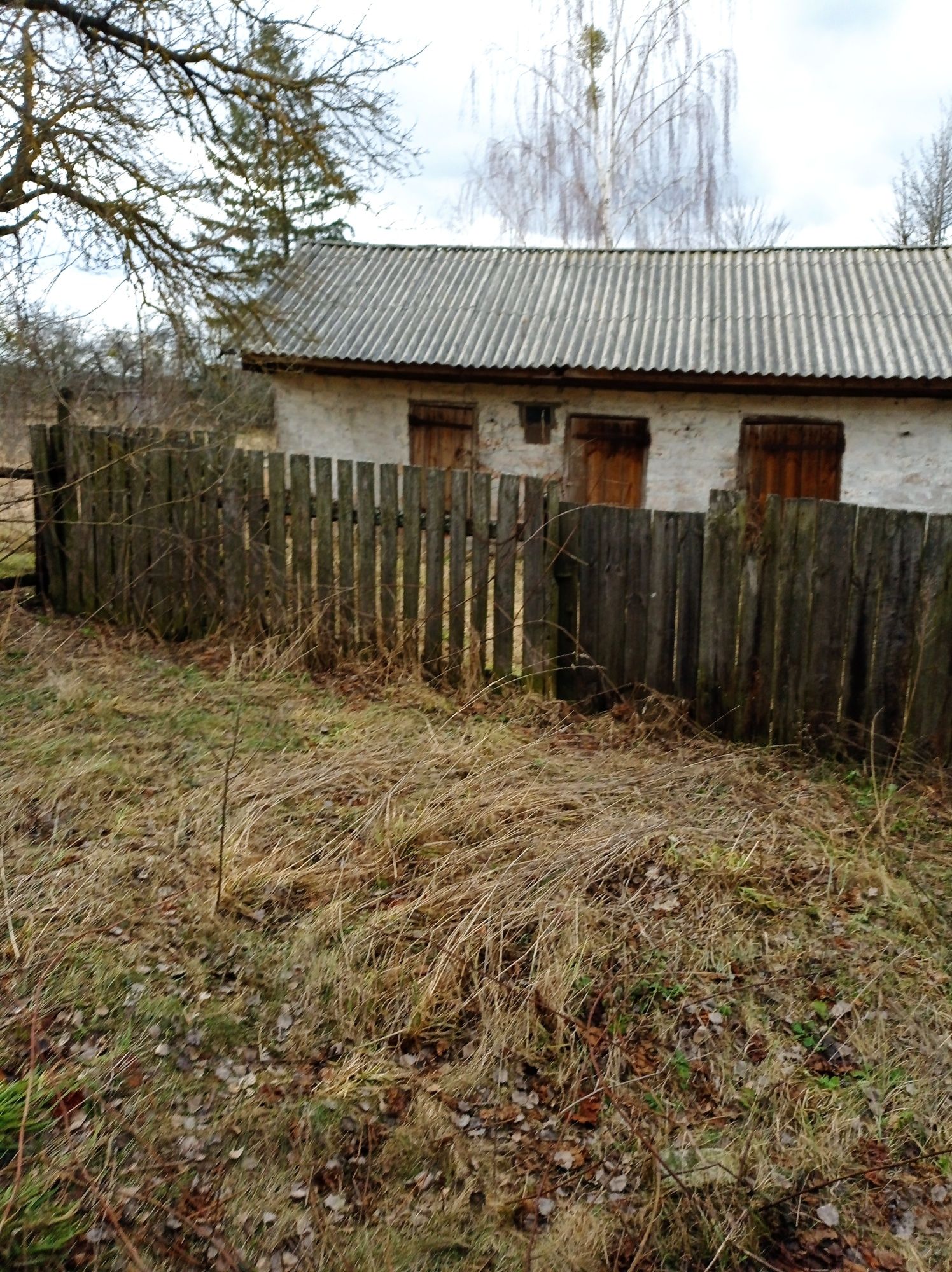 Дом  в лесу. Река. Село Пакуль. Участок 50сот.