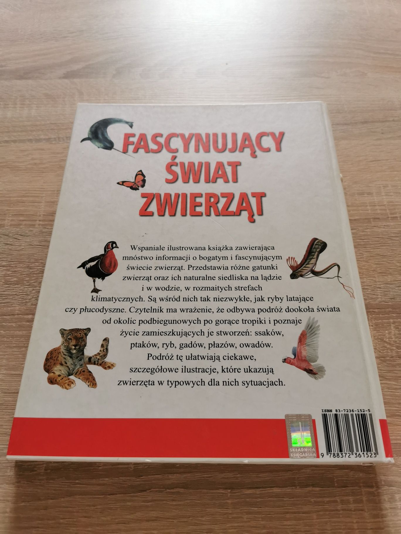 Atlas Zwierzęta świata Philip Wilson