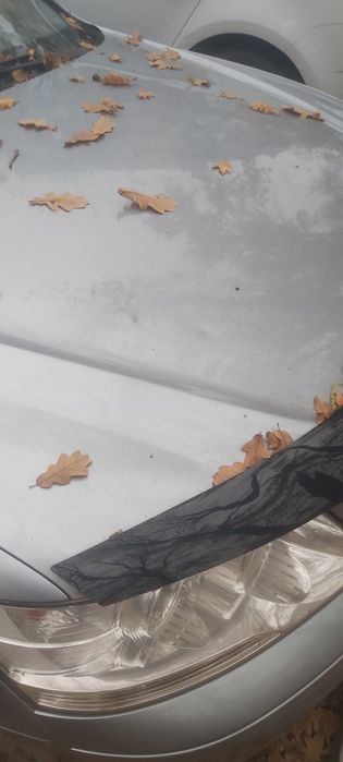 Hyundai sonata nf 2009 2.0