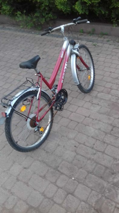 Rower Ragazz 24"