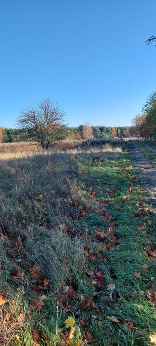Działka bud./ lub połowa / Uskórz Wielki 14 ar obok boiska