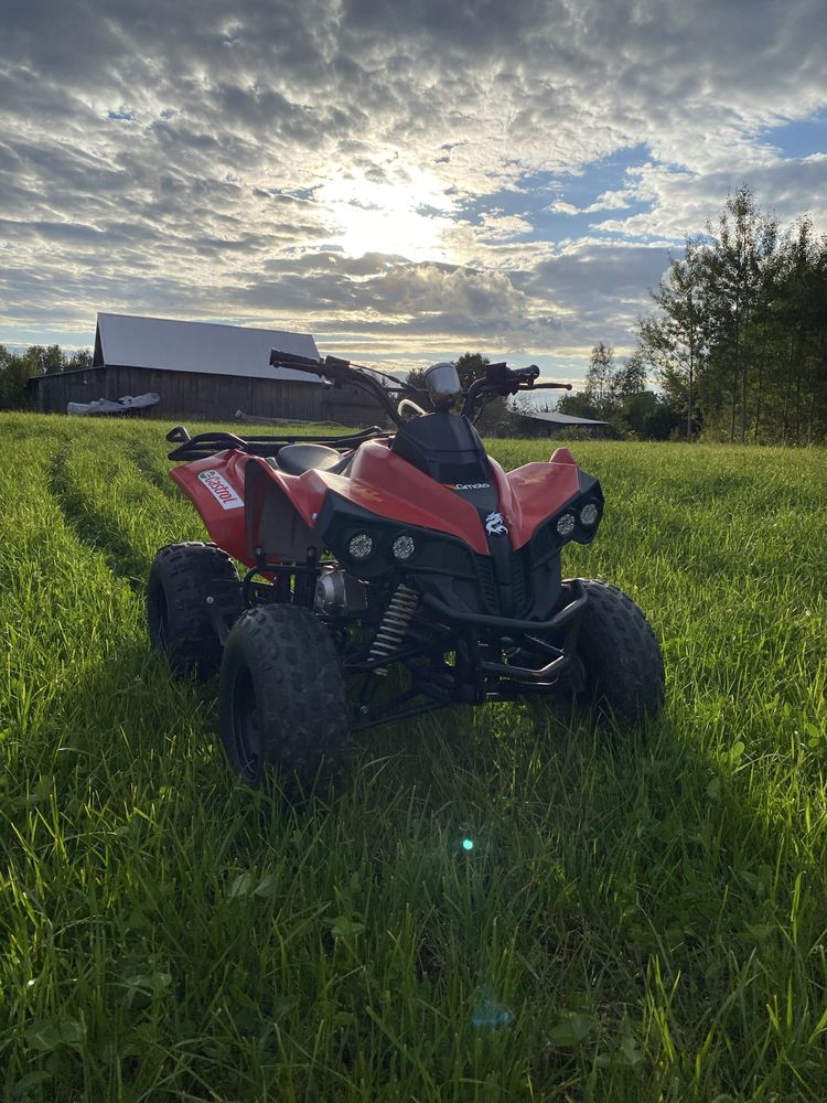Quad Bombardier 125ccm