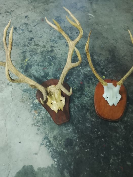 Obra de arte valiosa