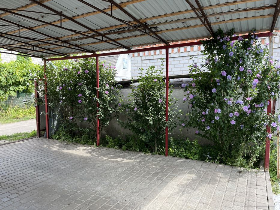 Дача Строитель. Кривуши. Собственник. Без комиссии.