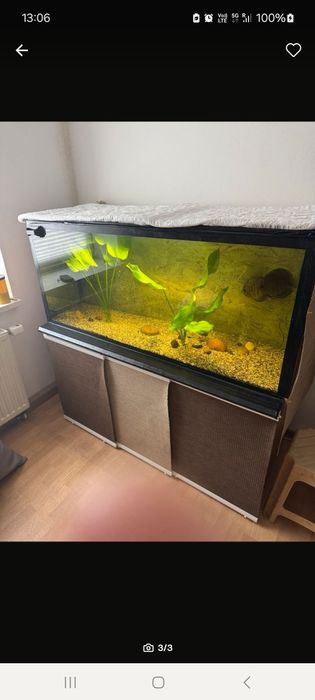 Akwarium 450 litrow