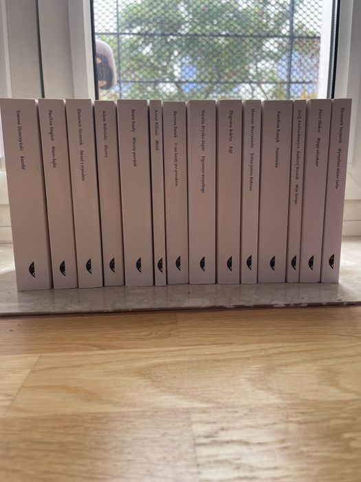 Seria „sulina” wydawnictwo czarne 14 ksiazek