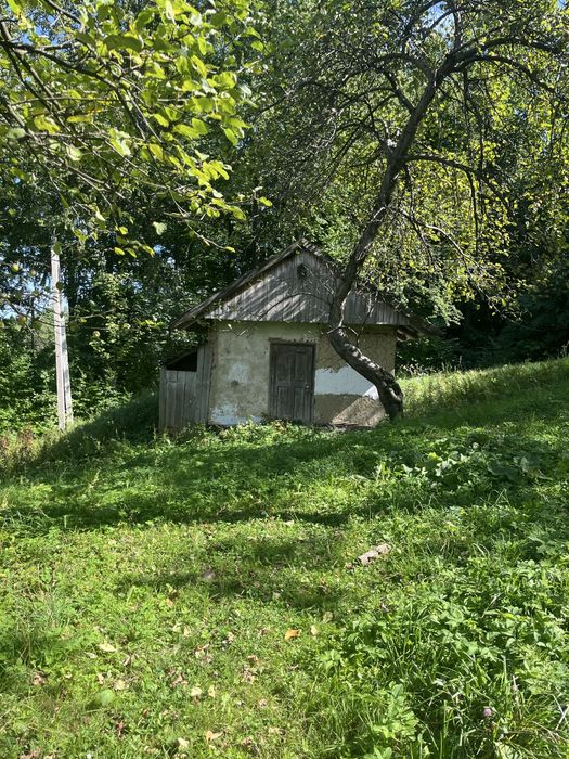 Продається дім в карпатах