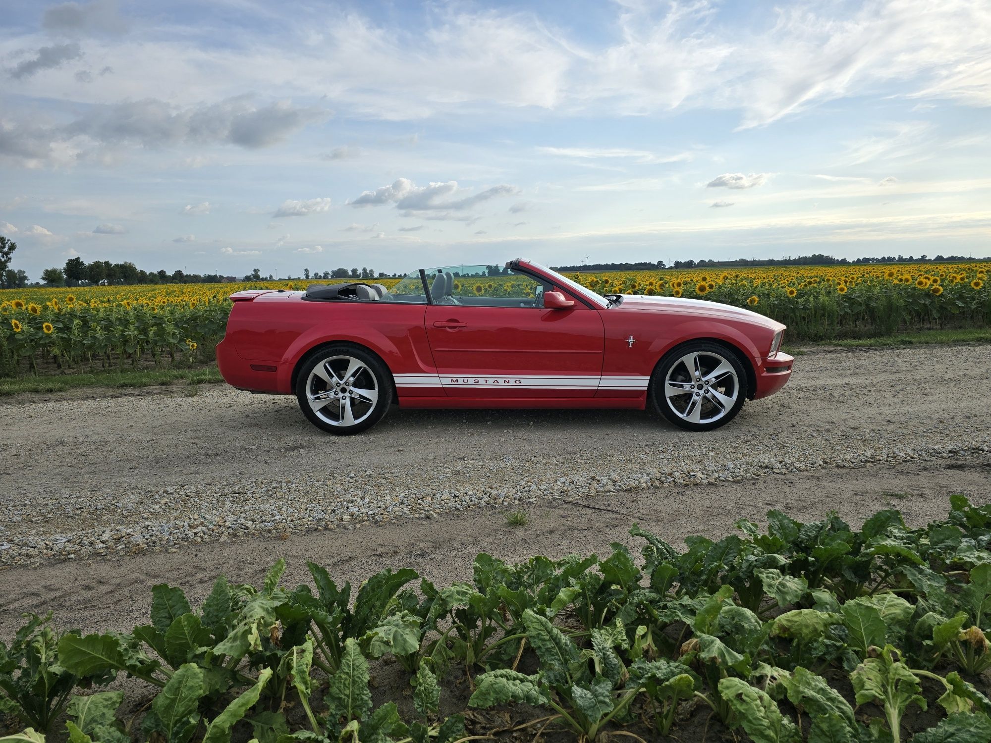 Ford Mustang 4.0 V6 2008 r kabriolet automat ZAMIANA