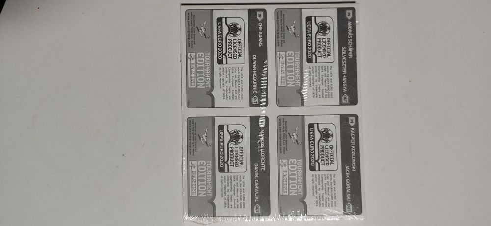 Panini Euro 2020 Update