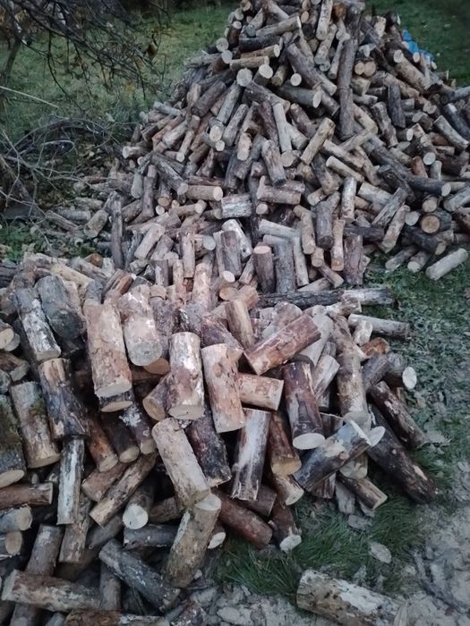 Drewno opałowe sosnowe (klocki)