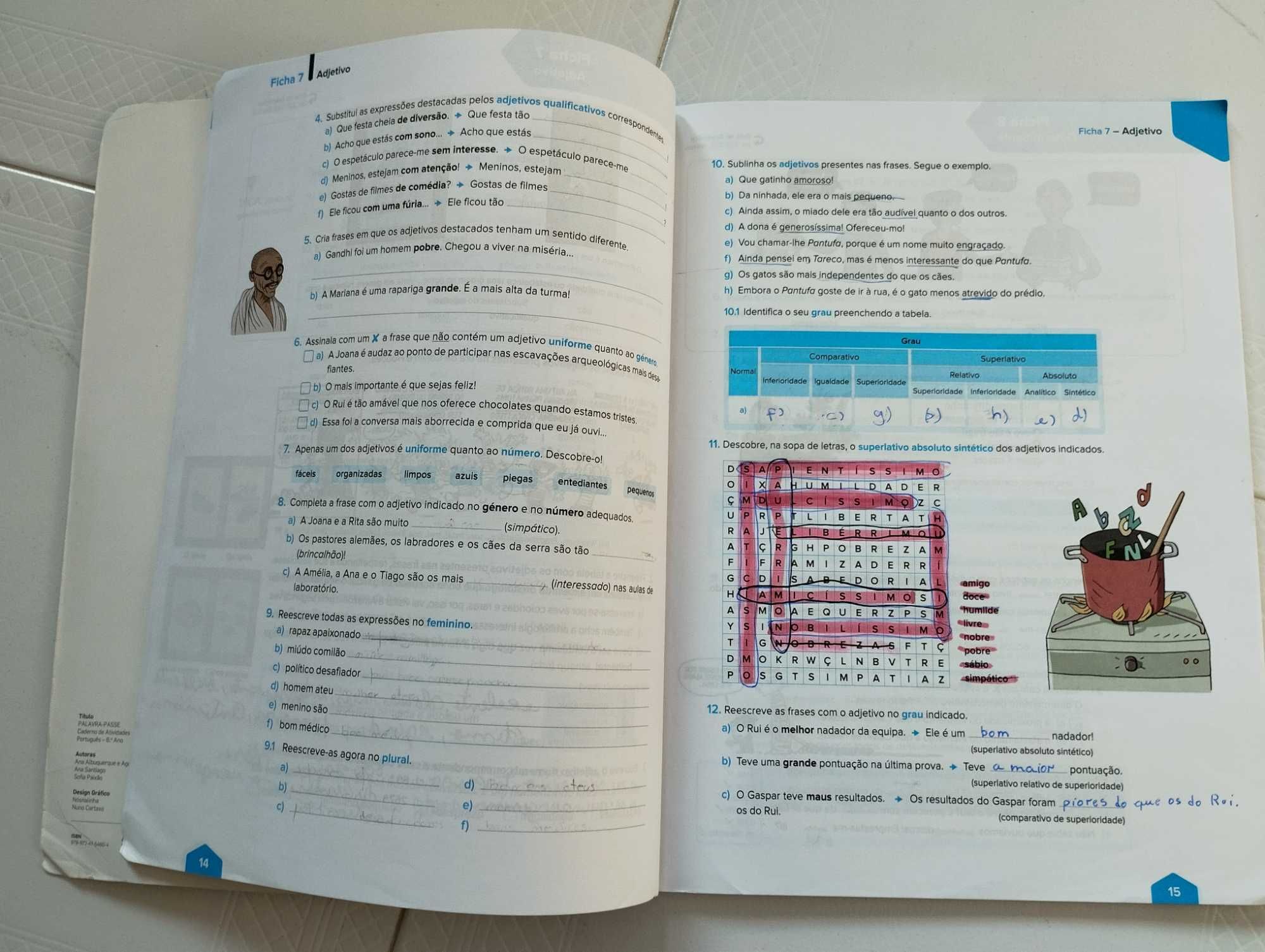 Português Palavra Passe 6º ano caderno de actividade