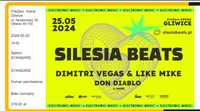 Silesia Beats - 1 Bilet