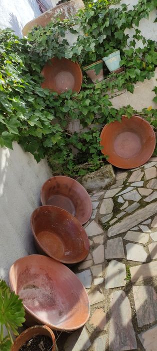 Lote de 5 grandes alguidares de barro antigos