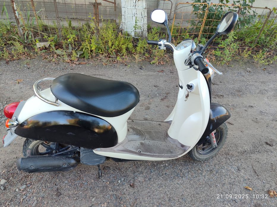 Honda scoopy af55