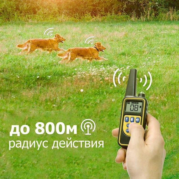 Электроошейник для дрессировки собак Dog Training Collar DTC-800