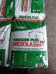 Groszek wysokokaloryczny workowany po 20 i 25 kg