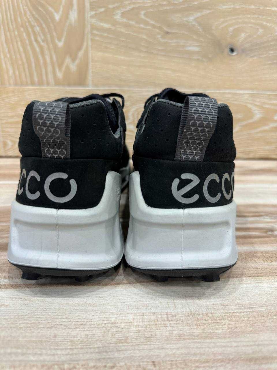 Кросівки Ecco Biom 2.1 Mountain Waterproof (39)