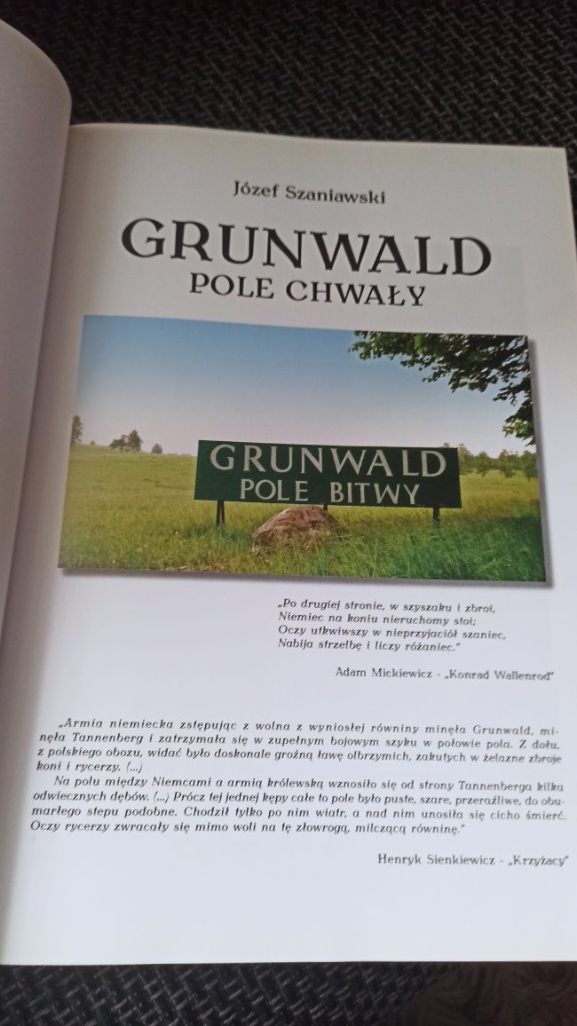 Grunwald pole chwały