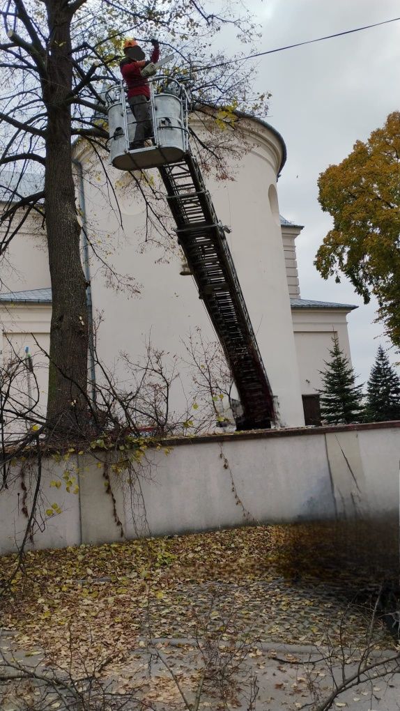 Wycinka, przycinka drzew, krzewów