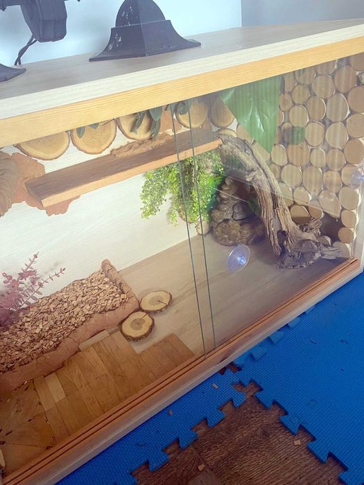 Terrarium agama gekon Duże 95cm x 48 cm x 60 cm  400zł