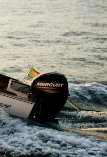 Motor Mercury F60 ELPT EFI (barco)– para reparação ou peças
