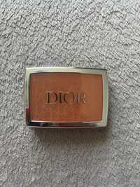 Róż Dior Coral