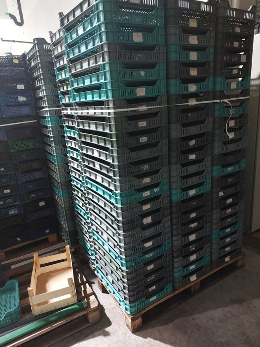 Skrzynki na owoce borówki maliny tzw malinówka, maliniak, platon