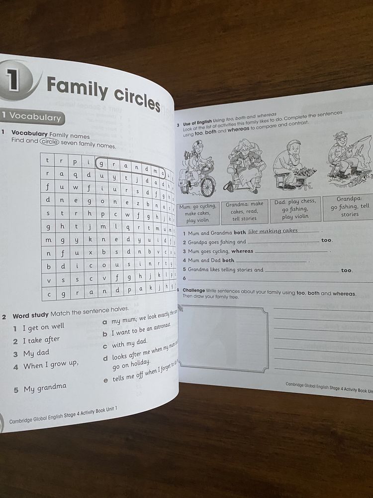 Cambridge Global English - Activity Book 4