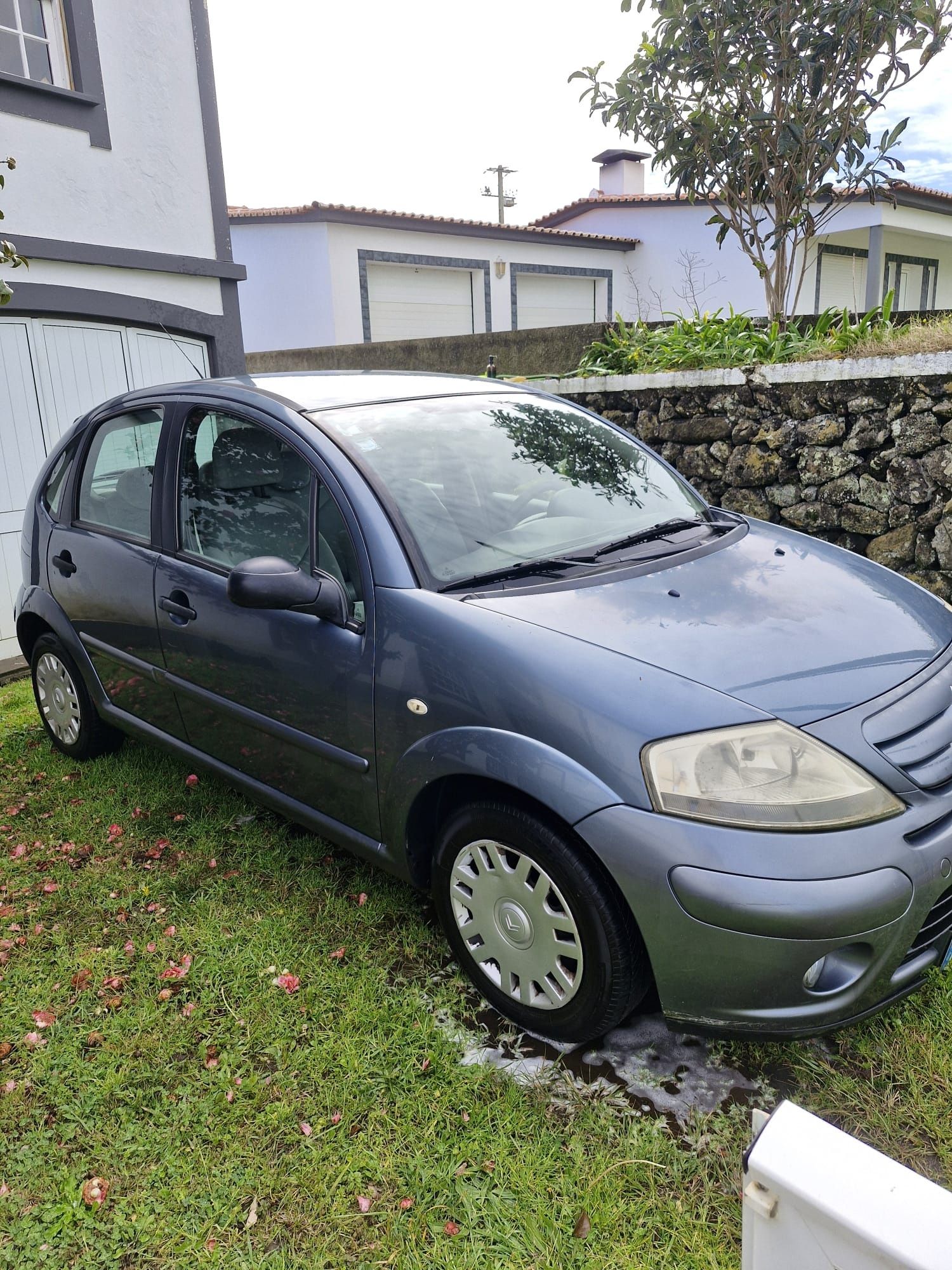 Citroën C3 2006 Cinzento