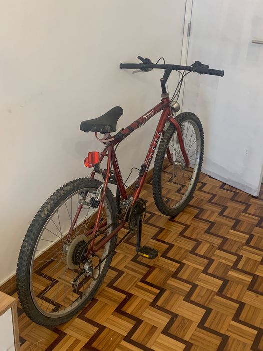 Bicicleta Adulto