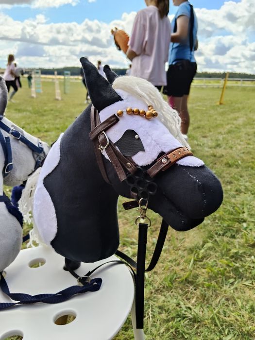 Łaciaty Hobby Horse A4