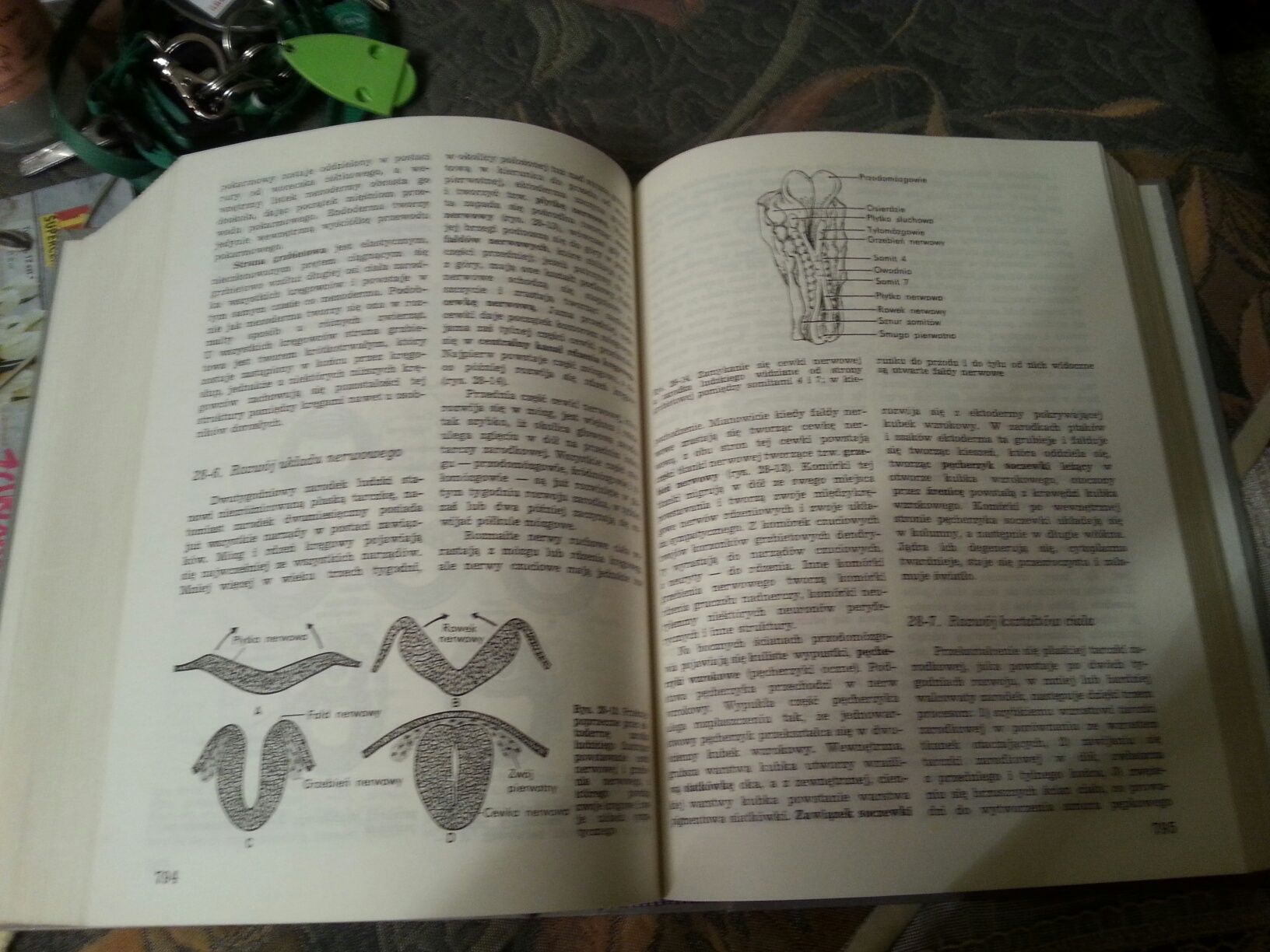 Biologia Claude A. Villee