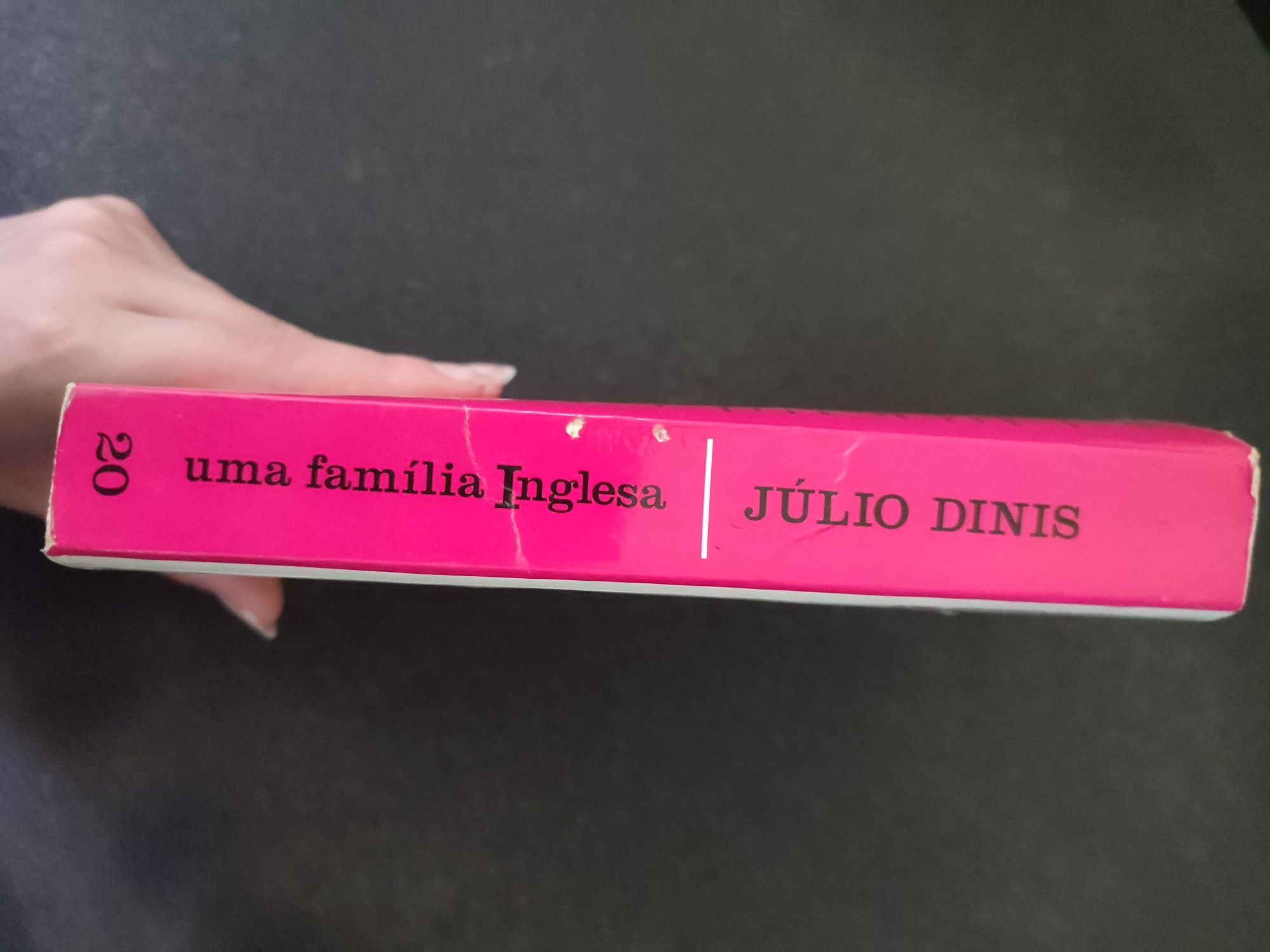 Livro: Uma família inglesa de Júlio Dinis