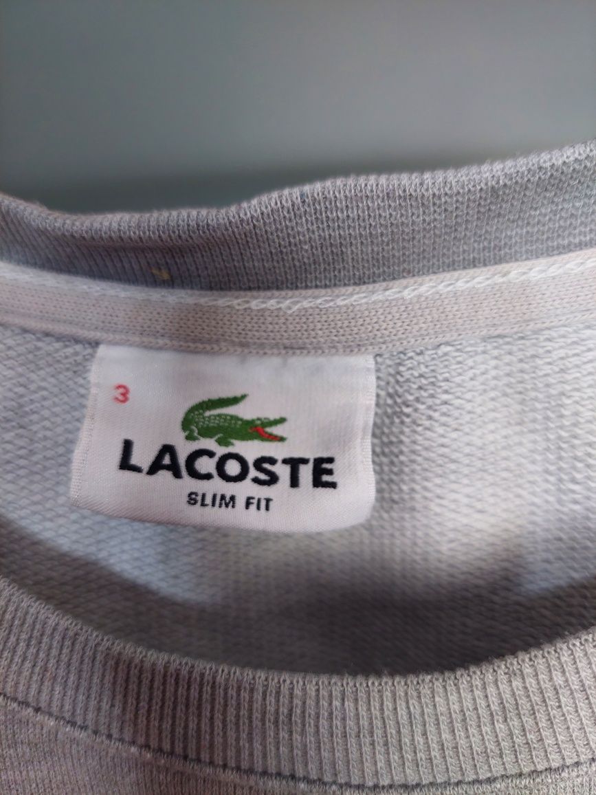 Lacoste fajna bluza 70% bawełny  roz S