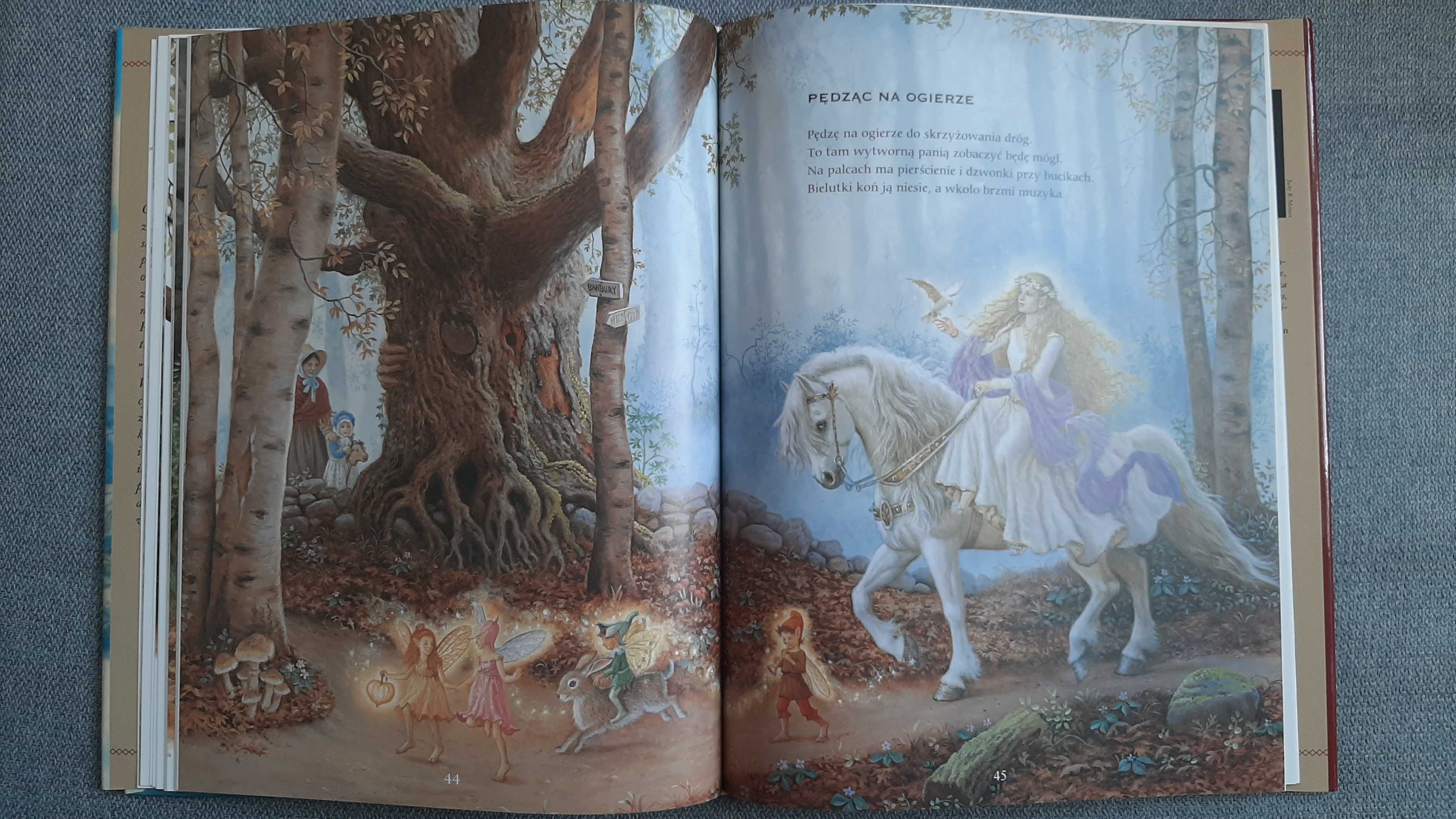 Ruth Sanderson Babcia Gąska przyja zabawne wierszyki piękne ilustracje