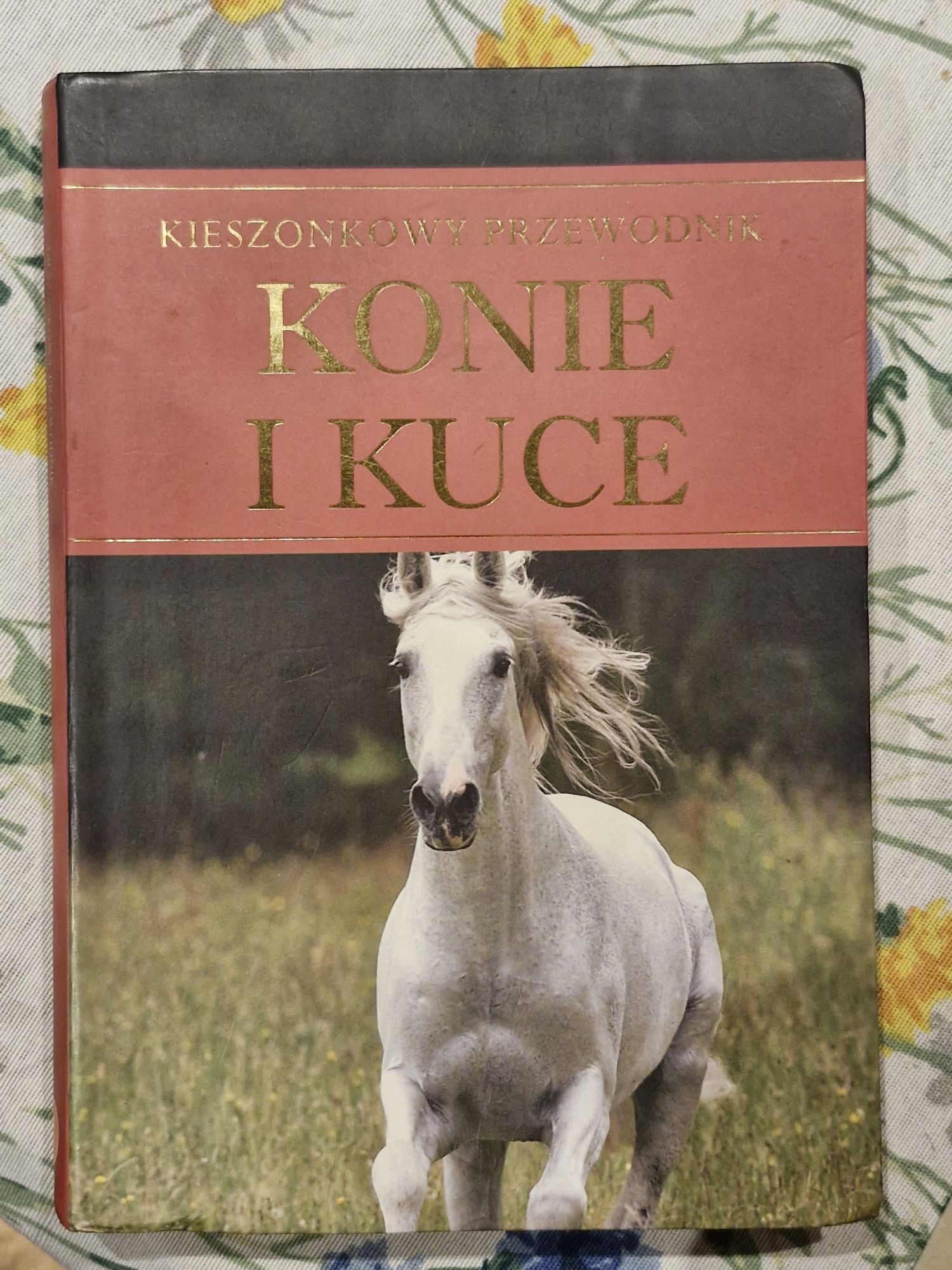 Konie i kuce. Kieszonkowy przewodnik